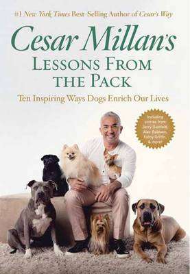 Cesar Millan's Lessons From the Pack - Cesar Millan