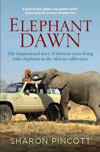 Elephant dawn - Sharon Pincott