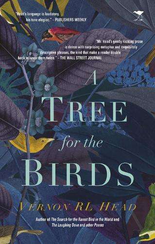 A tree for the birds - Vernon Head