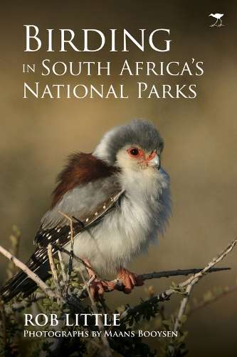 Birding in South Africaâs national parks - Rob Little