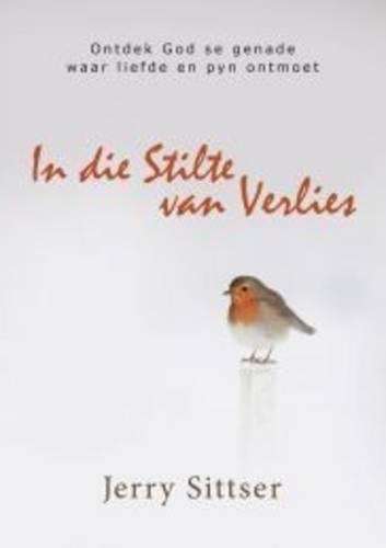 In Die Stilte Van Verlies - Jerry Sittser