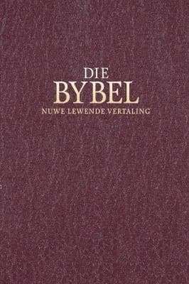 Die Bybel - Wil Vosloo