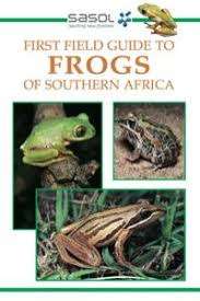 First field guide to frogs in Southern Africa - CARRUTHERS,V
