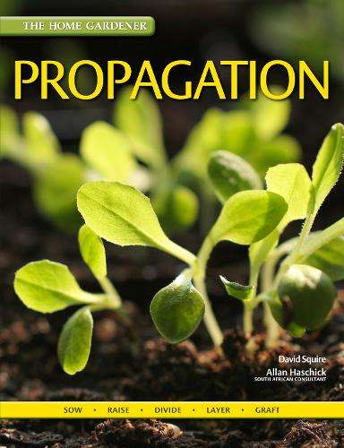 Propagation - SQUIRE,D