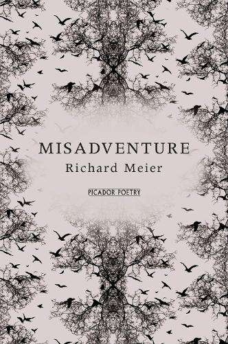 Misadventure - Richard Meier