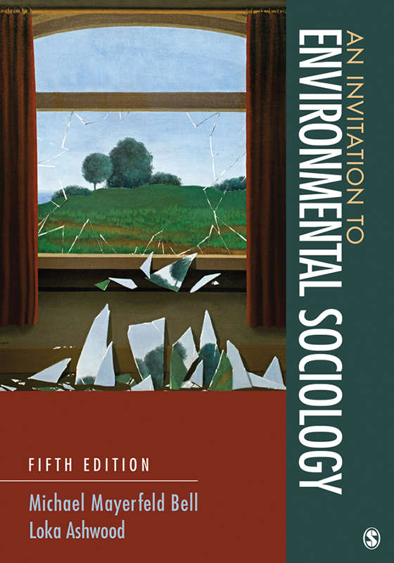 An Invitation to Environmental Sociology - Michael Mayerfeld Bell