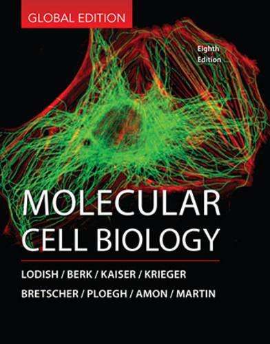 Molecular Cell Biology - Arnold  Berk