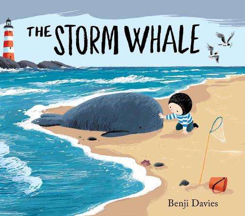 \Storm Whale - N"