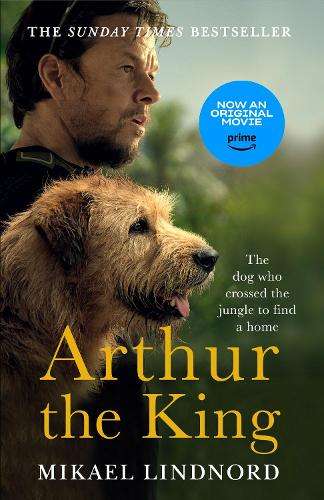 Arthur the King: The dog who crossed the jungle to find a home *WATC - Mikael Lindnord
