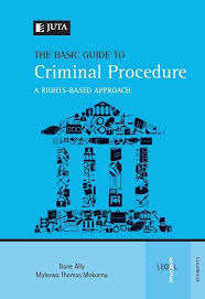The basic guide to criminal procedure - D. Ally