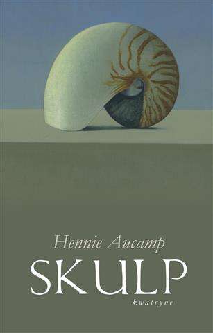 Skulp - Hennie Aucamp