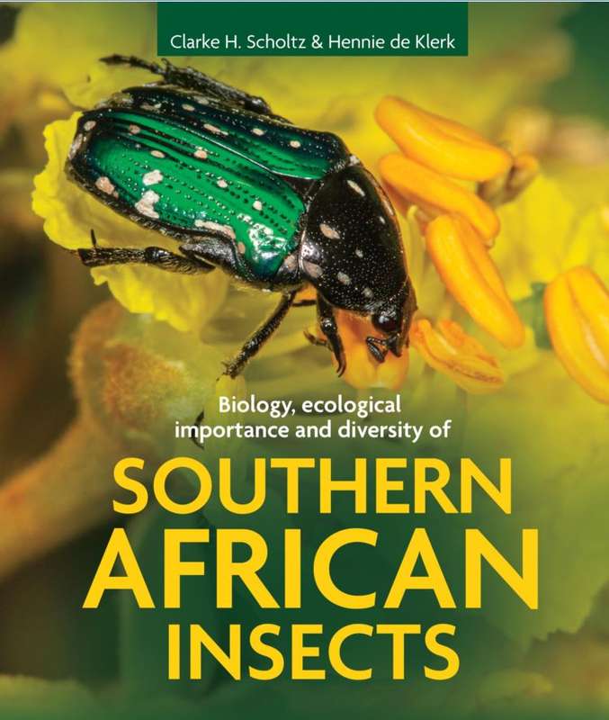 SOUTHERN AFRICAN INSECTS BIO ECO IMPORT - SCHOLTZ,CH