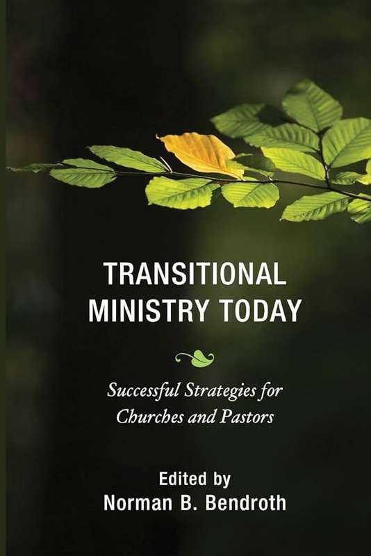 Transitional Ministry Today - BENDROTH,N