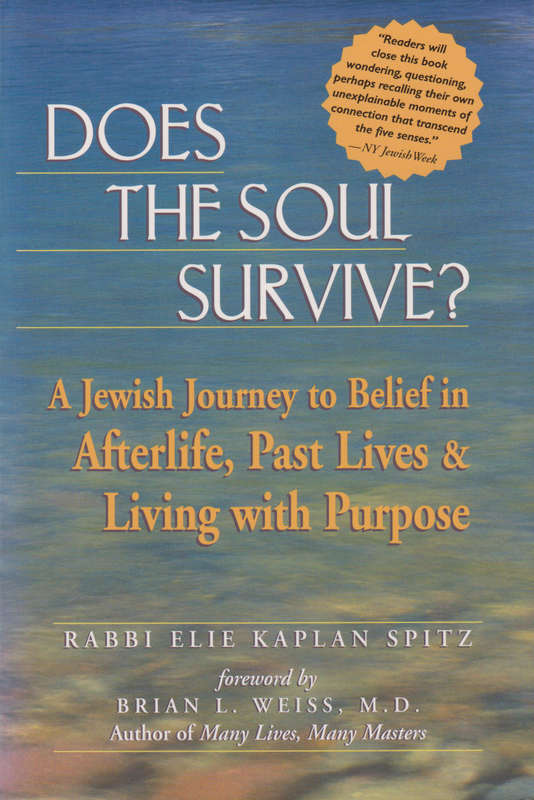 DOES THE SOUL SURVIVE JEW BELIEF 2H SECONDHAND - SPITZ,E
