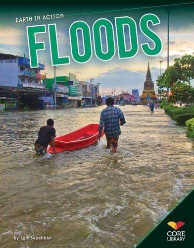 Floods - Lois Sepahban