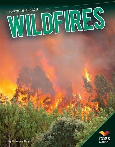 Wildfires - Rebecca Rowell