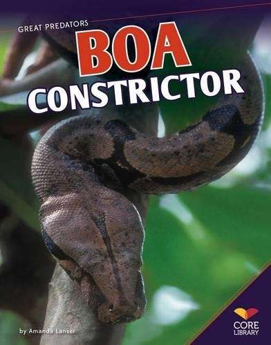 BOA Constrictor - Amanda Lanser