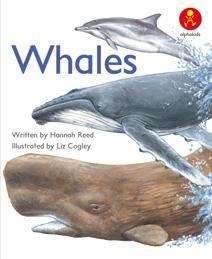 Two Whales - MACMIL-ALPHAKIDS