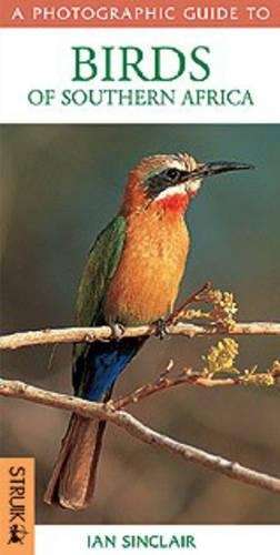 Photographic guide birds of Southern Africa - SINCLAIR,S
