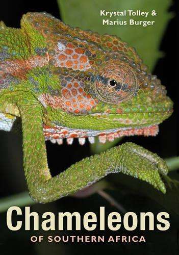 Chameleons of Southern Africa - TOLLEY,K