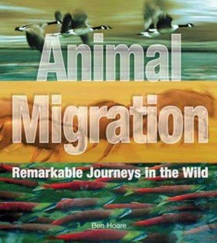Animal Migration - Ben Hoare