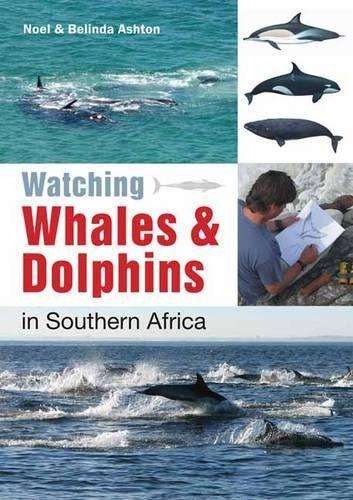Watching whales & dolphins in Southern Africa - Noel Ashton