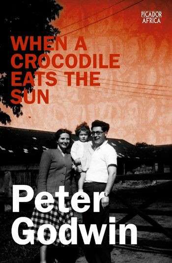 WHEN A CROCODILE EATS THE SUN 2H SECONDHAND - GODWIN,P