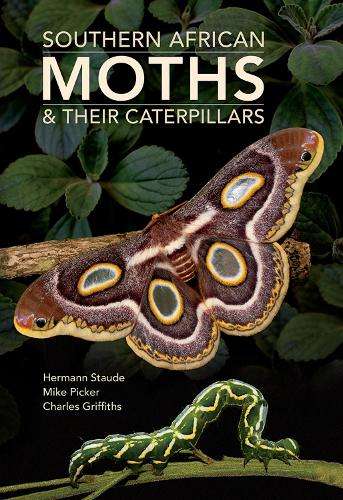 Southern African Moths & their Caterpillars - Hermann Staude