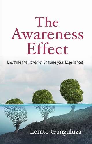 \Awareness Effect - N"
