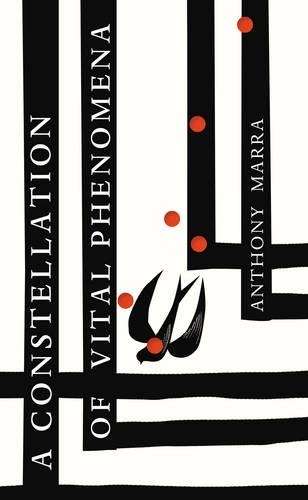 A Constellation of Vital Phenomena - Anthony Marra