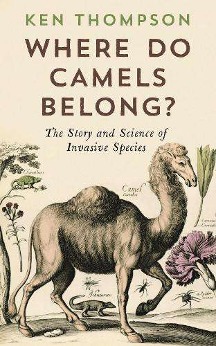Where Do Camels Belong? - Ken Thompson