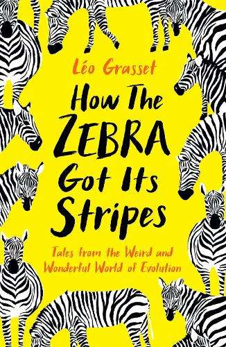 How the Zebra Got its Stripes - Leo Grasset