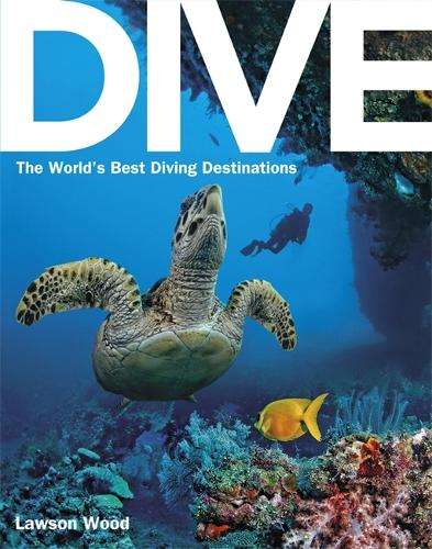 Dive - Lawson Wood