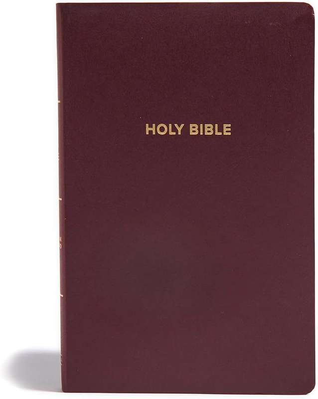 QUICK & EASY READ BIBLE BURGUNDY LEATHER - BIBLE