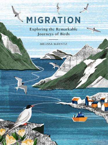 Migration: Exploring the Remarkable Journeys of Birds - Melissa Mayntz