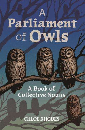 Parliament of Owls, A: A Book of Collective Nouns - Chloe Rhodes