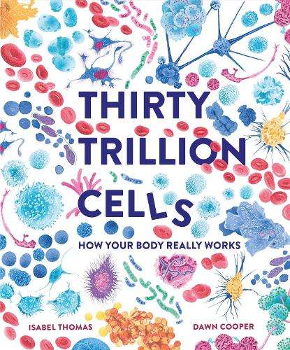 Thirty Trillion Cells: How Your Body Really Works - Isabel Thomas
