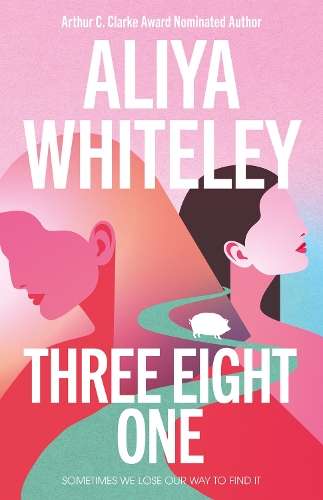 Three Eight One - Aliya Whiteley