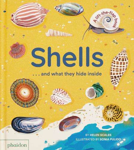 Shells... and what they hide inside: A Lift-the-Flap Adventure - Helen Scales