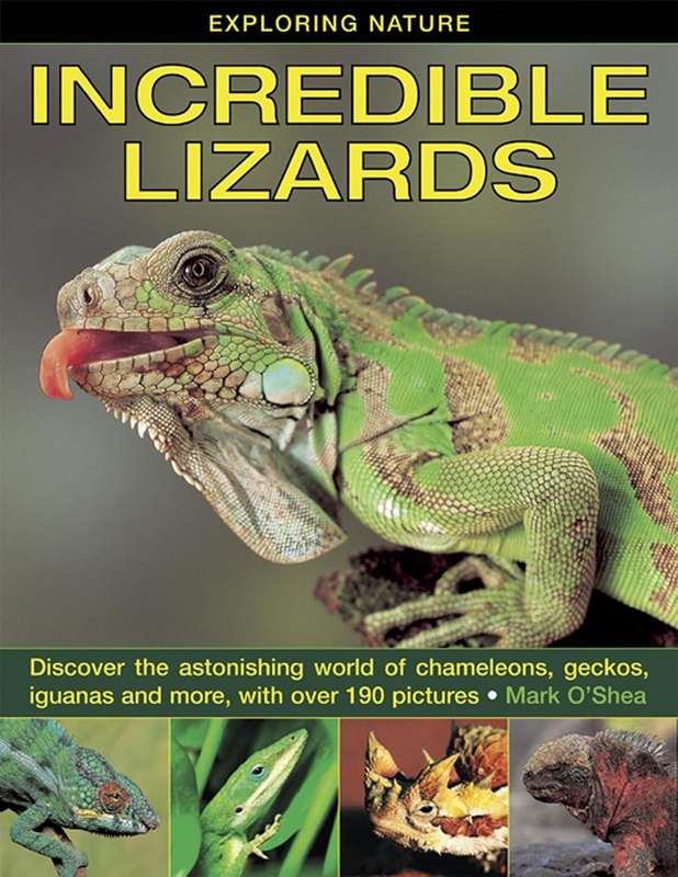 Exploring Nature: Incredible Lizards - Mark O'Shea