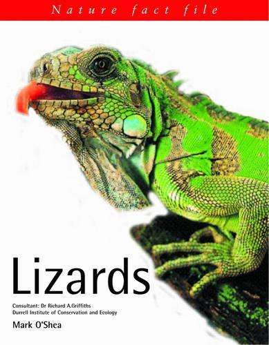 Lizards - Mark O'Shea
