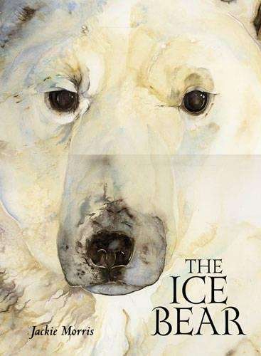 Ice Bear, The - Jackie Morris