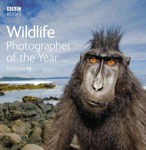 Wildlife Photographer of the Year Portfolio 18 - Rosamund Kidman Cox