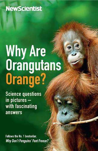 Why are Orangutans Orange? - New Scientist