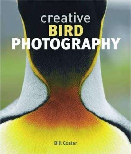 Creative Bird Photography - Bill Coster