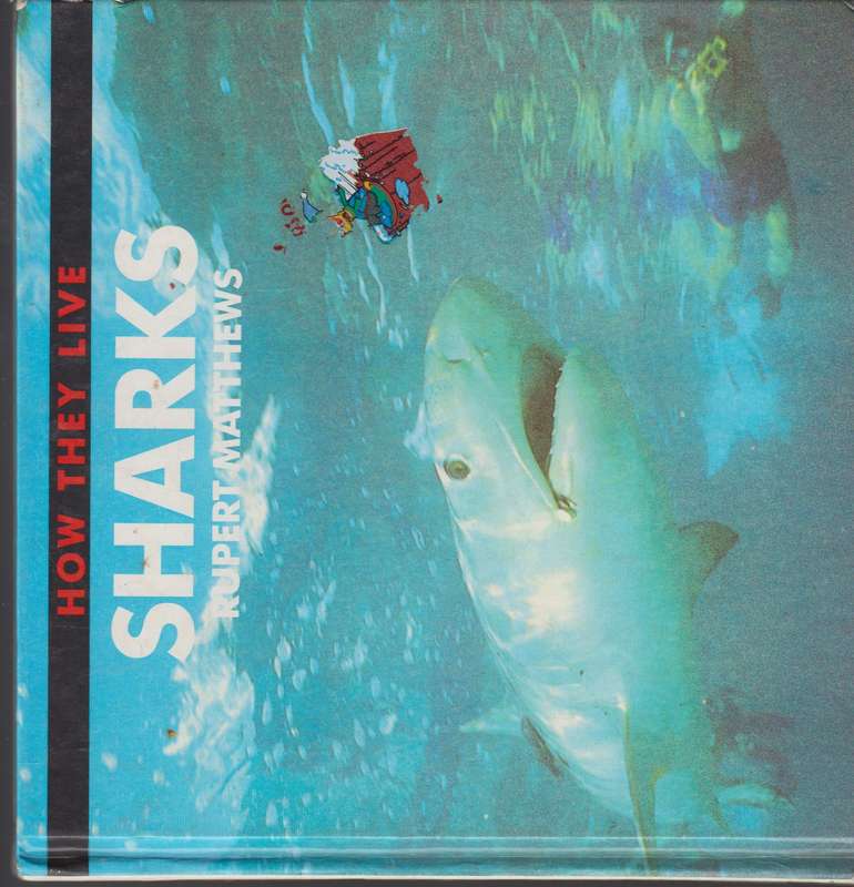 How they live sharks  - Rubert Matthews