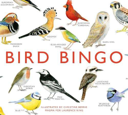 Bird Bingo - Christine Berrie