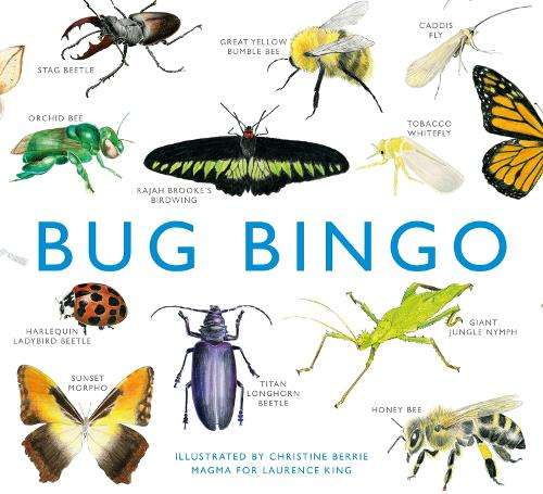 Bug Bingo - Christine Berrie