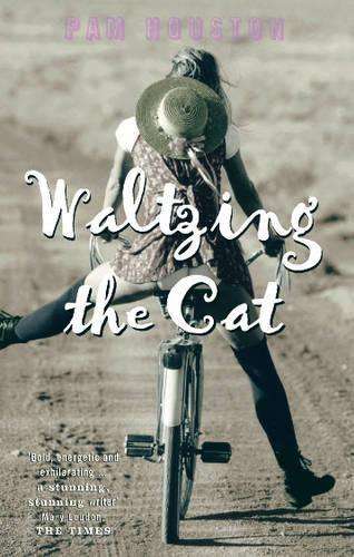 Waltzing The Cat - Pam Houston