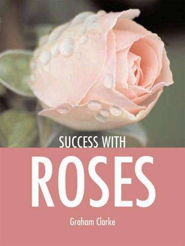 Roses - Graham Clarke